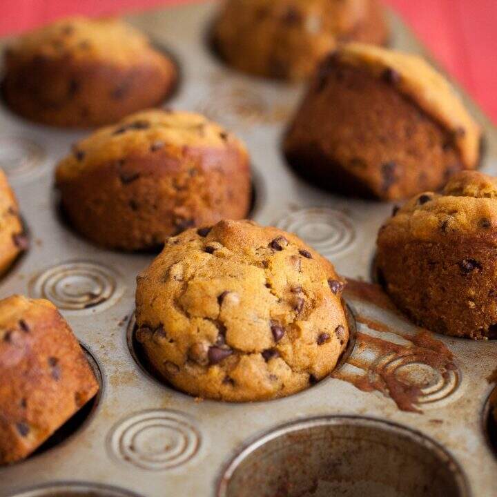 Whole Wheat Pumpkin Chocolate Chip Muffins