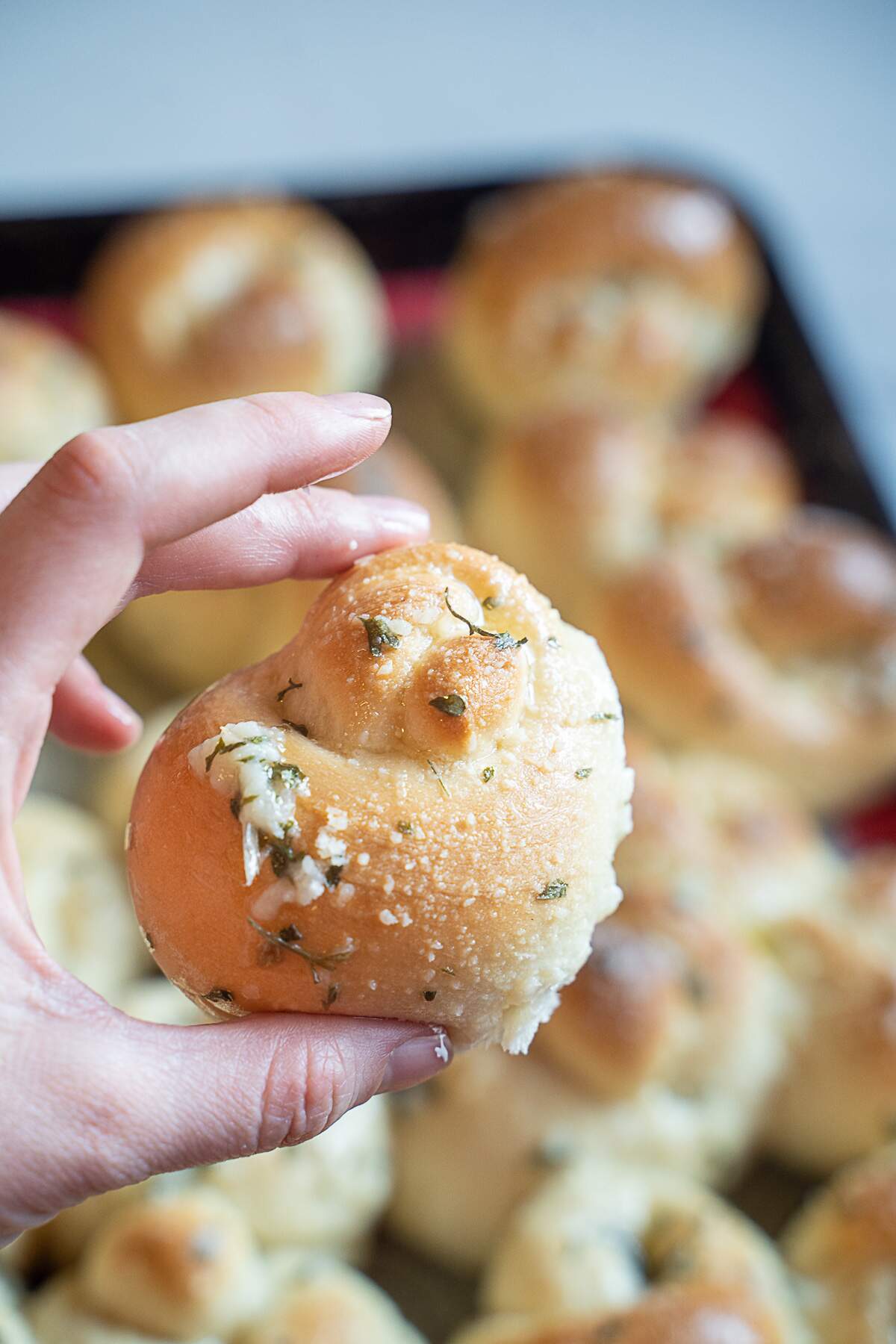 The Best Buttery Garlic Knots With Freezer Instructions Call Me Betty